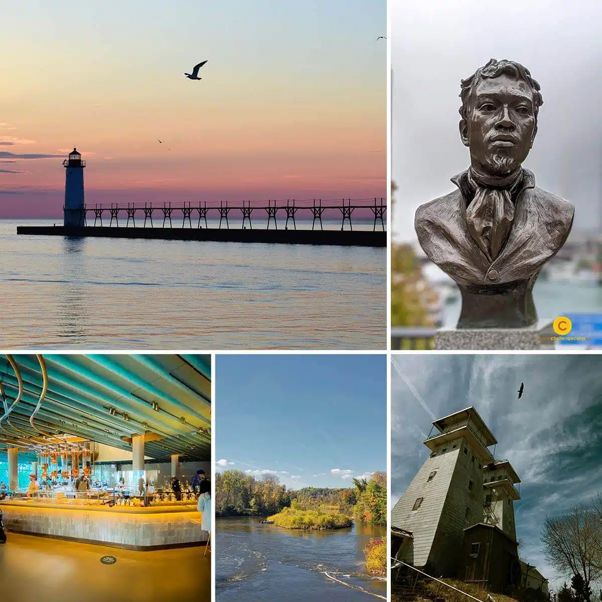 Michigan Challenge Coins