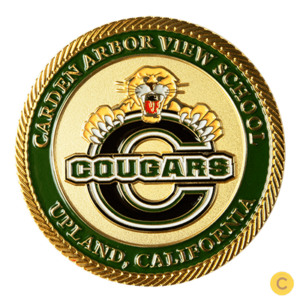 School Challenge Coins